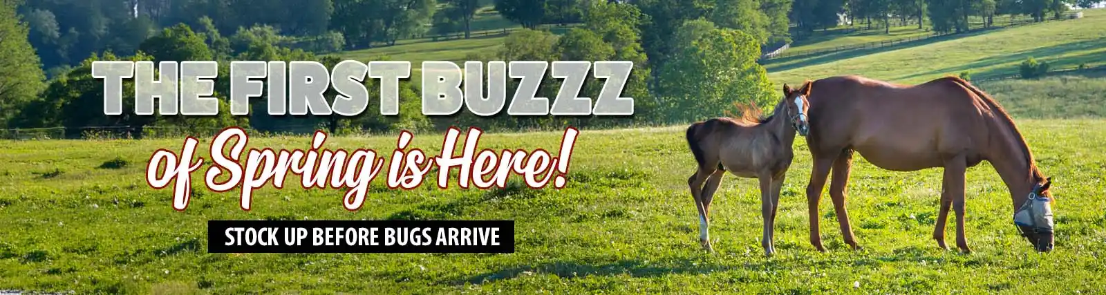 Your Ultimate Horse Tack Destination